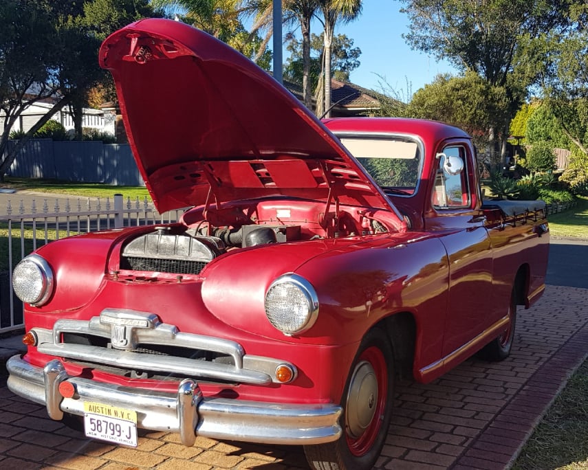Standard Vanguard Ute