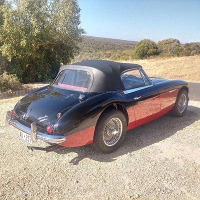 Rear view of 1966 Austin Healey 3000 for sale